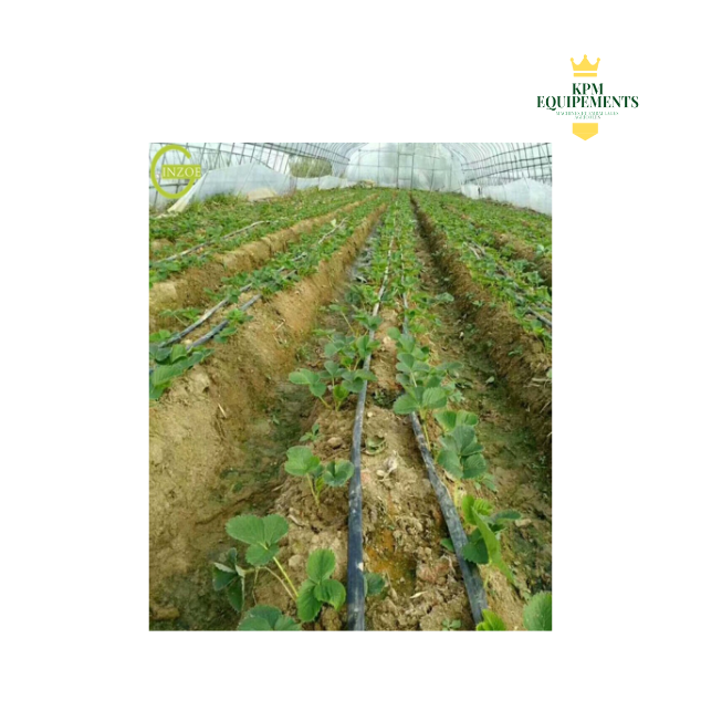 SYSTÈME D’IRRIGATION GOUTE A GOUTE